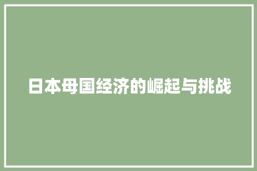 日本母国经济的崛起与挑战 日本母国经济的崛起与挑战