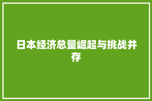 日本经济总量崛起与挑战并存 日本经济总量崛起与挑战并存