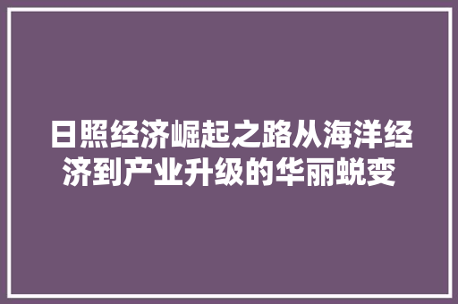 日照经济崛起之路从海洋经济到产业升级的华丽蜕变