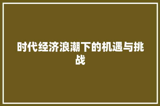 时代经济浪潮下的机遇与挑战 时代经济浪潮下的机遇与挑战