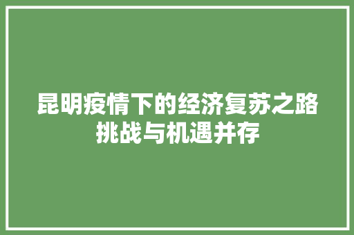 昆明疫情下的经济复苏之路挑战与机遇并存 昆明疫情下的经济复苏之路挑战与机遇并存