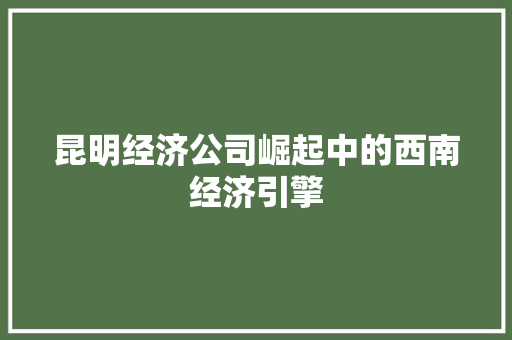 昆明经济公司崛起中的西南经济引擎 昆明经济公司崛起中的西南经济引擎
