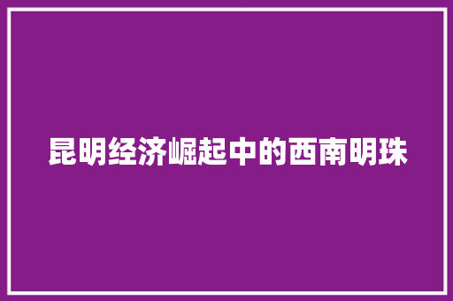 昆明经济崛起中的西南明珠 昆明经济崛起中的西南明珠
