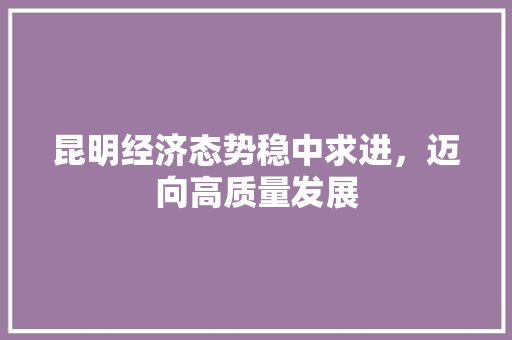 昆明经济态势稳中求进,迈向高质量发展 昆明经济态势稳中求进,迈向高质量发展