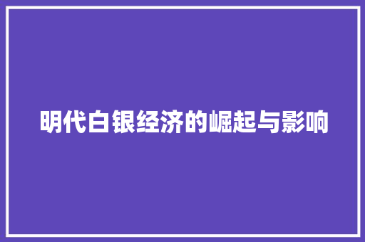 明代白银经济的崛起与影响 明代白银经济的崛起与影响