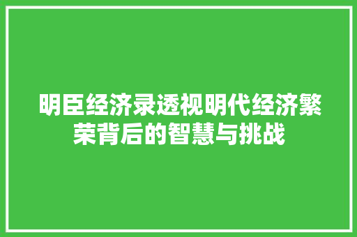 明臣经济录透视明代经济繁荣背后的智慧与挑战