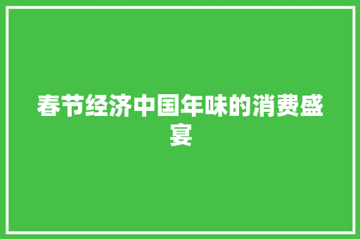 春节经济中国年味的消费盛宴 春节经济中国年味的消费盛宴