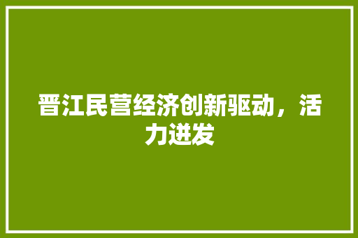 晋江民营经济创新驱动,活力迸发 晋江民营经济创新驱动,活力迸发
