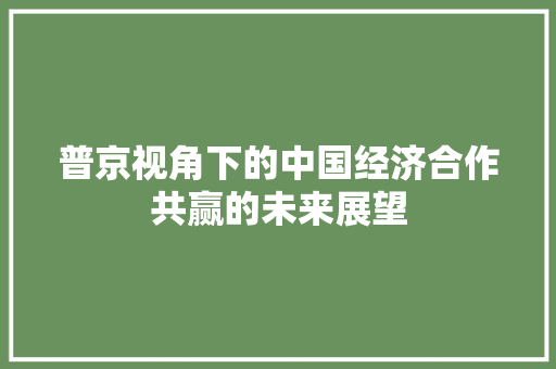 普京视角下的中国经济合作共赢的未来展望 普京视角下的中国经济合作共赢的未来展望