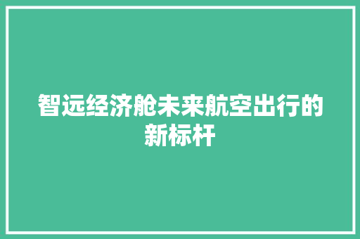 智远经济舱未来航空出行的新标杆 智远经济舱未来航空出行的新标杆