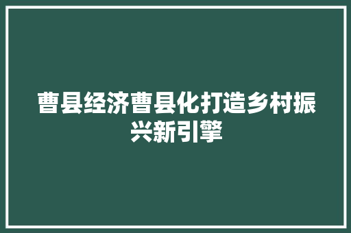 曹县经济曹县化打造乡村振兴新引擎 曹县经济曹县化打造乡村振兴新引擎