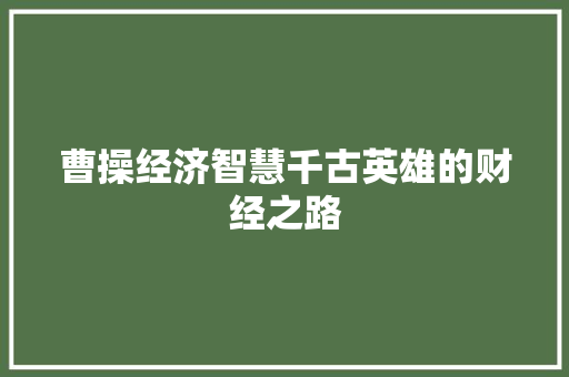 曹操经济智慧千古英雄的财经之路