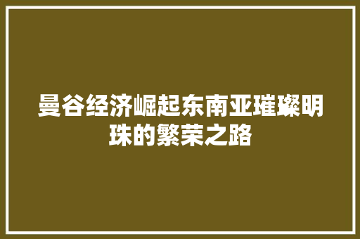 曼谷经济崛起东南亚璀璨明珠的繁荣之路 曼谷经济崛起东南亚璀璨明珠的繁荣之路