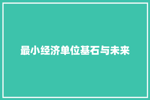 最小经济单位基石与未来 最小经济单位基石与未来
