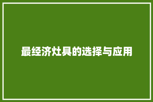 最经济灶具的选择与应用 最经济灶具的选择与应用
