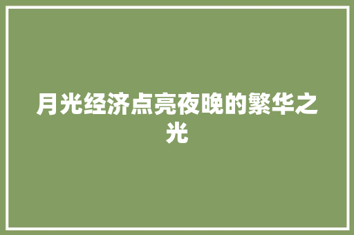 月光经济点亮夜晚的繁华之光