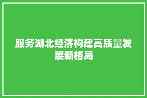 服务湖北经济构建高质量发展新格局 服务湖北经济构建高质量发展新格局