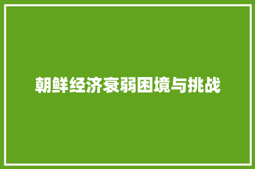 朝鲜经济衰弱困境与挑战 朝鲜经济衰弱困境与挑战