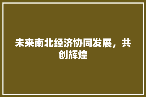 未来南北经济协同发展,共创辉煌 未来南北经济协同发展,共创辉煌