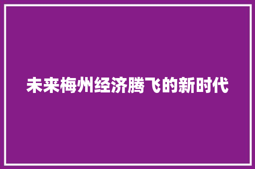 未来梅州经济腾飞的新时代 未来梅州经济腾飞的新时代