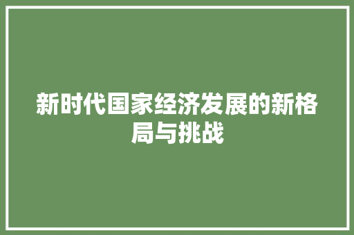 新时代国家经济发展的新格局与挑战 新时代国家经济发展的新格局与挑战