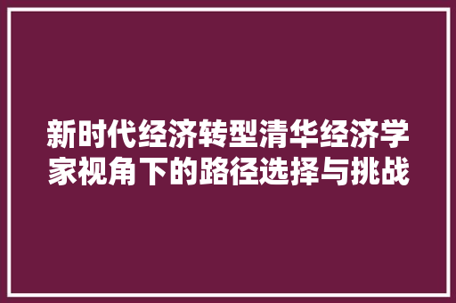 新时代经济转型清华经济学家视角下的路径选择与挑战 新时代经济转型清华经济学家视角下的路径选择与挑战