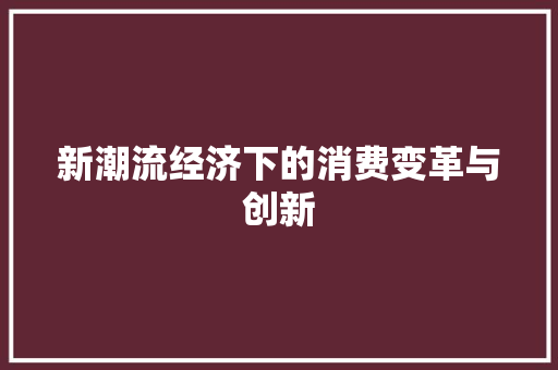 新潮流经济下的消费变革与创新 新潮流经济下的消费变革与创新