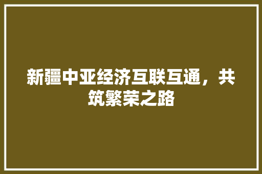 新疆中亚经济互联互通,共筑繁荣之路 新疆中亚经济互联互通,共筑繁荣之路