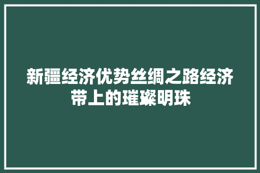 新疆经济优势丝绸之路经济带上的璀璨明珠
