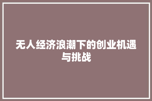 无人经济浪潮下的创业机遇与挑战 无人经济浪潮下的创业机遇与挑战