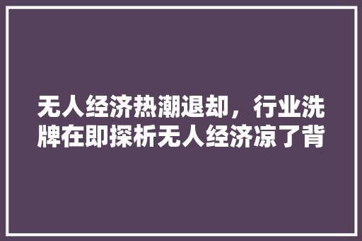 无人经济热潮退却,行业洗牌在即探析无人经济凉了背后的原因与未来走向 无人经济热潮退却,行业洗牌在即探析无人经济凉了背后的原因与未来走向