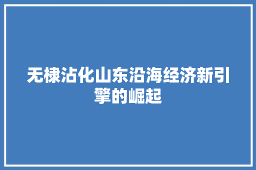 无棣沾化山东沿海经济新引擎的崛起 无棣沾化山东沿海经济新引擎的崛起