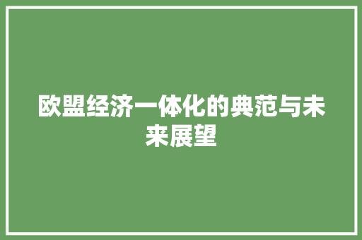 欧盟经济一体化的典范与未来展望 欧盟经济一体化的典范与未来展望