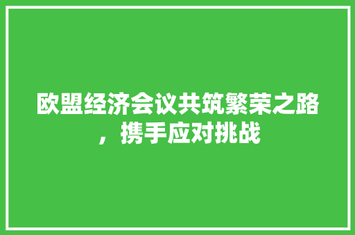 欧盟经济会议共筑繁荣之路,携手应对挑战 欧盟经济会议共筑繁荣之路,携手应对挑战