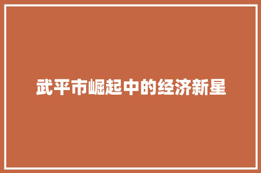 武平市崛起中的经济新星 武平市崛起中的经济新星