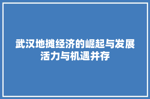 武汉地摊经济的崛起与发展活力与机遇并存 武汉地摊经济的崛起与发展活力与机遇并存