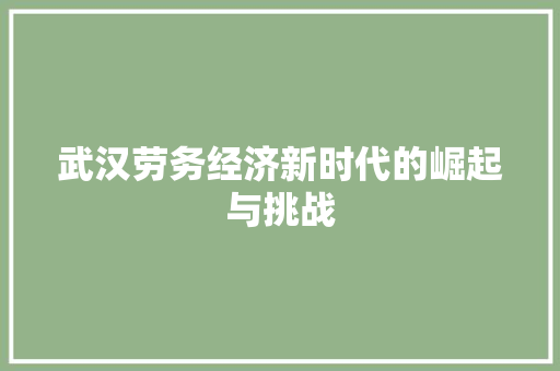 武汉劳务经济新时代的崛起与挑战