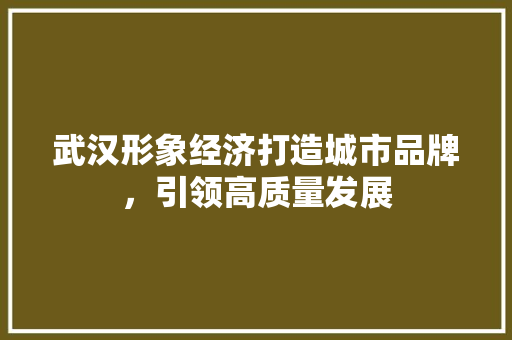 武汉形象经济打造城市品牌,引领高质量发展 武汉形象经济打造城市品牌,引领高质量发展