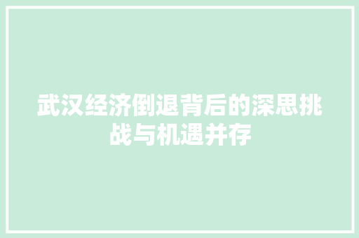 武汉经济倒退背后的深思挑战与机遇并存 武汉经济倒退背后的深思挑战与机遇并存