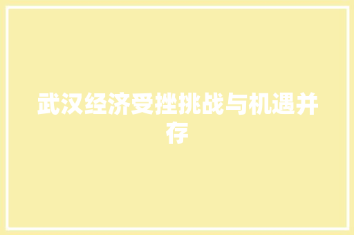 武汉经济受挫挑战与机遇并存 武汉经济受挫挑战与机遇并存