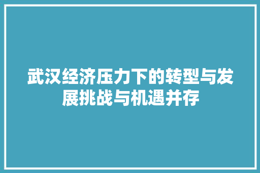 武汉经济压力下的转型与发展挑战与机遇并存 武汉经济压力下的转型与发展挑战与机遇并存