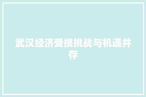 武汉经济受损挑战与机遇并存