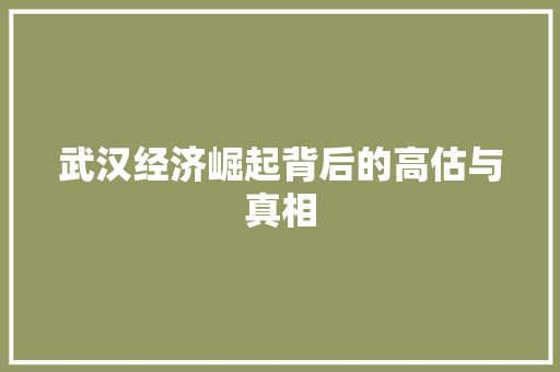 武汉经济崛起背后的高估与真相 武汉经济崛起背后的高估与真相