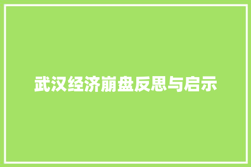 武汉经济崩盘反思与启示 武汉经济崩盘反思与启示