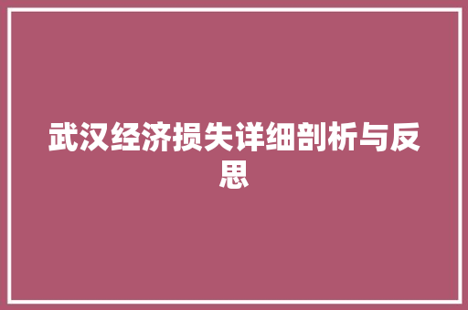 武汉经济损失详细剖析与反思 武汉经济损失详细剖析与反思