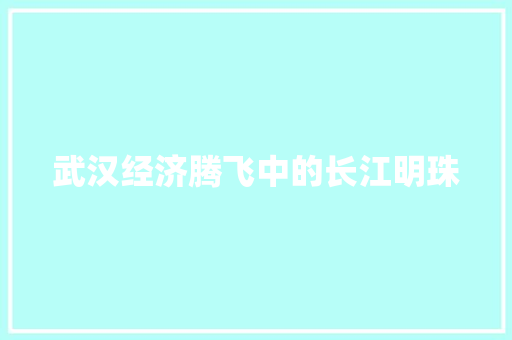 武汉经济腾飞中的长江明珠 武汉经济腾飞中的长江明珠
