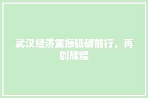 武汉经济重振砥砺前行，再创辉煌