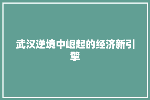 武汉逆境中崛起的经济新引擎 武汉逆境中崛起的经济新引擎