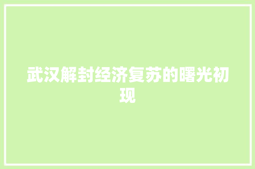 武汉解封经济复苏的曙光初现 武汉解封经济复苏的曙光初现