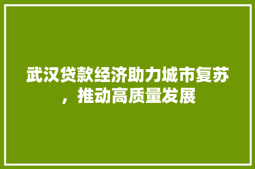 武汉贷款经济助力城市复苏,推动高质量发展 武汉贷款经济助力城市复苏,推动高质量发展